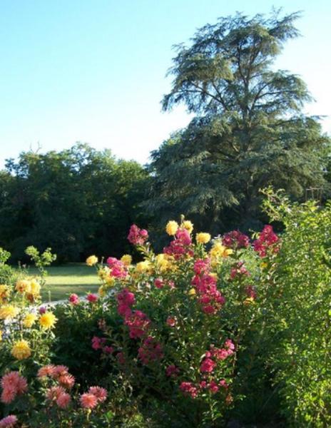 Brinon-sur-Sauldre Chateau Des Bouffards المظهر الخارجي الصورة